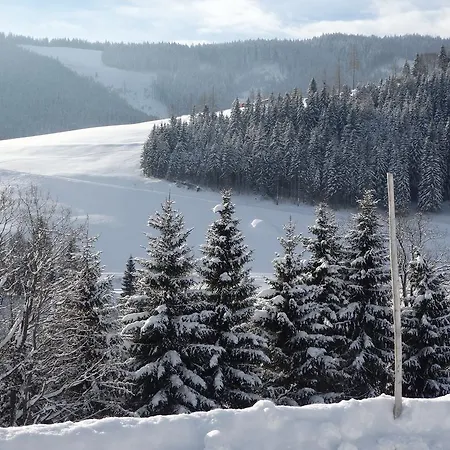 Haus Ratgeb Quarto em Acomodações Particulares Filzmoos